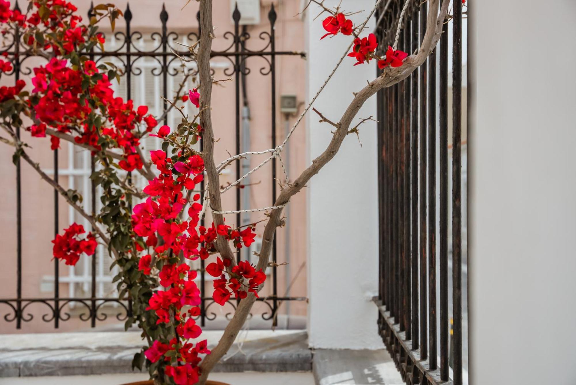 Archontiko Eleni Hotel Ándros Dış mekan fotoğraf